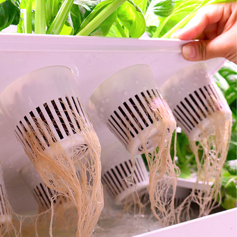 ydroponic Planting System Smar - Home Automation System Diy review and price