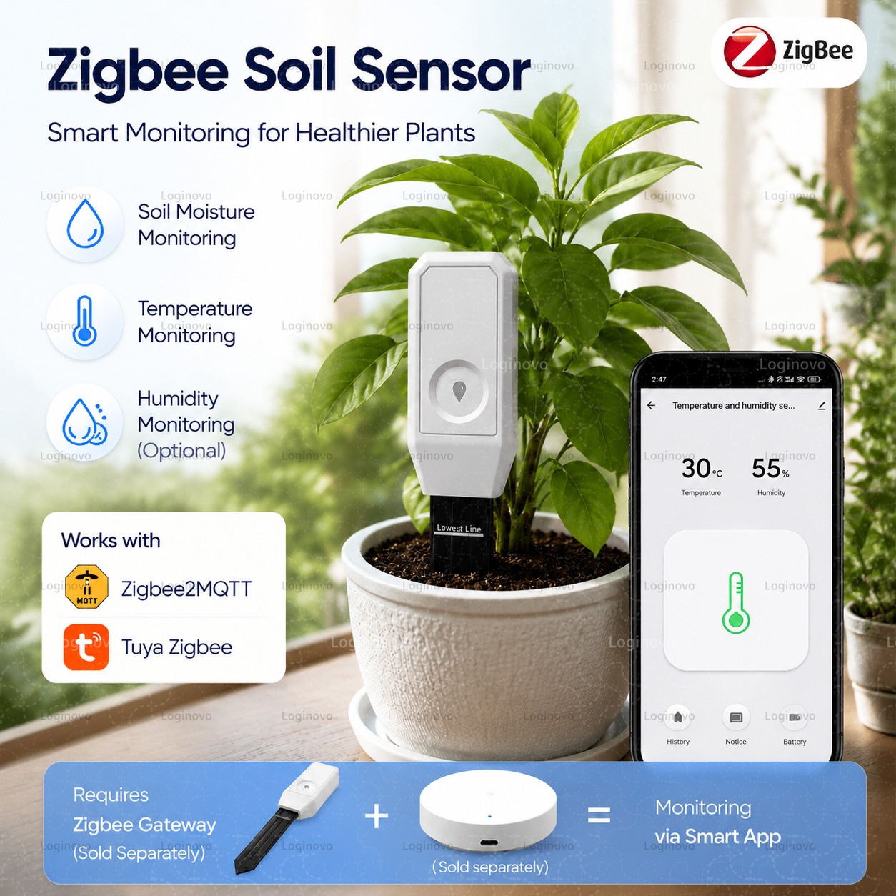 Tuya Zigbee Soil Moisture Test - Home Automation Ideas review and price