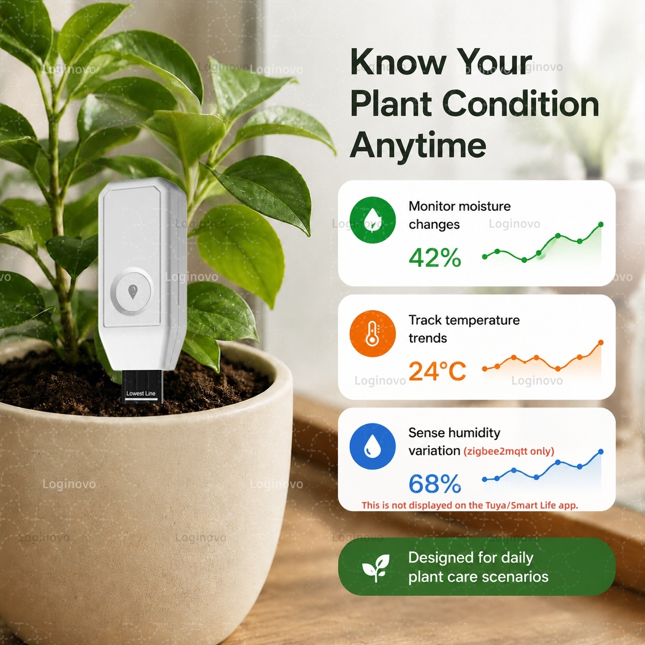 Tuya Zigbee Soil Moisture Test - Home Automation Ideas review and price