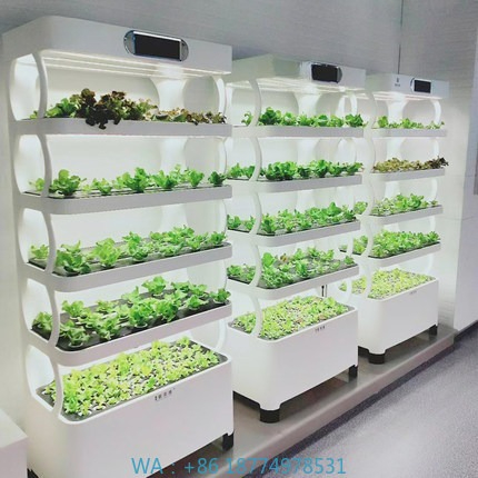 Hydroponic Automated Grow Syst - Home Automation System Diy review and price
